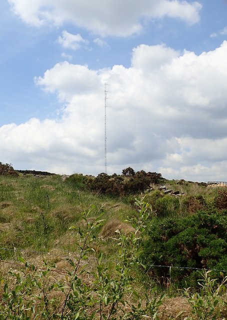 Communications mast above Edenfore