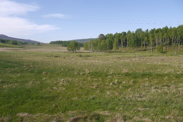 Dunalasdair, north of the road