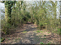 Bridleway 2736 looking north