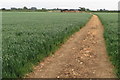 Bridleway heading to the Hollow Barn