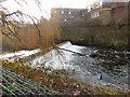 Weir on the River Tame