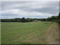 W6060 : Fields at Ballyheada by Jonathan Thacker