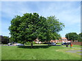 Green near Brabazon Road