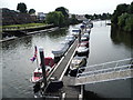 Teddington Marina