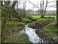 Brook with footbridge and horse crossing