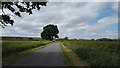 Country road near to Sutton Wharf