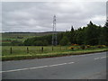 Farmland, forest and powerline near Cantraywood