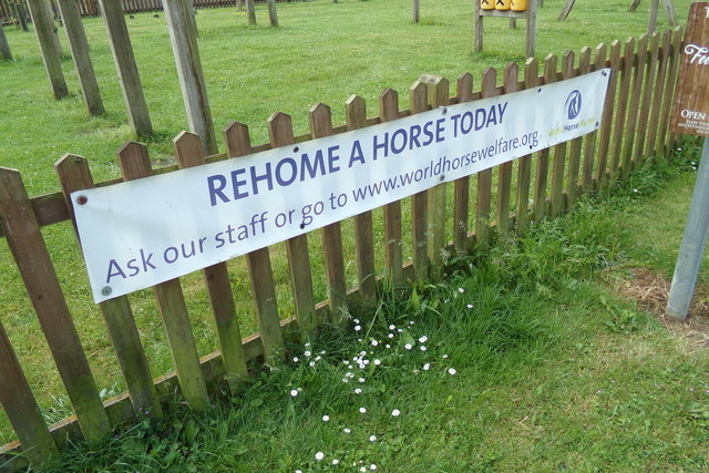 Poster at Hall Farm Horse Rescue Centre
