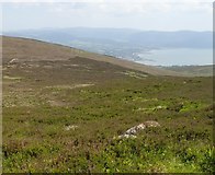 J1417 : The head of Carlingford Lough from Clermont Mountain by Eric Jones