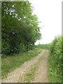 Farm track north of Tidlake