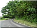 The road by Westworth Farm, Verwood