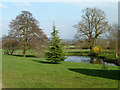 Pond at Park Farm