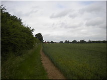 TF0376 : Footpath to Scothern, north of Sudbrooke by Richard Vince