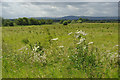 Fields at Saltney