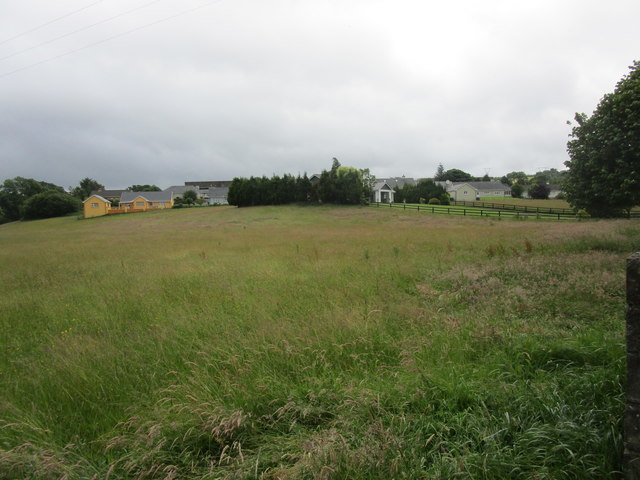 Grass field on the edge of Millstreet
