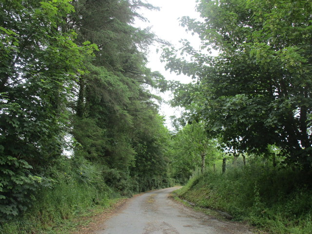 Road to Kilmeedy