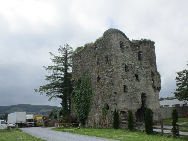 Kilmeedy Castle