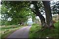 NH5624 : Minor road in Stratherrick by Alan Reid