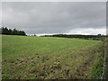 W2987 : Grass field near Lackdotia by Jonathan Thacker