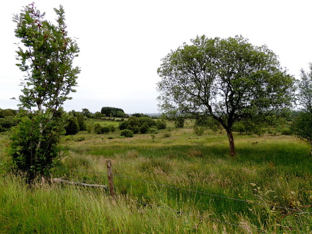 Rough ground, Mullaghslin Glebe