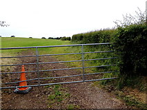 H5672 : Gate, Mullaghslin Glebe by Kenneth  Allen