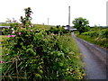 Tullyneil Road, Mullaghslin Glebe