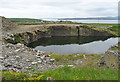 ND4193 : Flooded Quarry by Anne Burgess