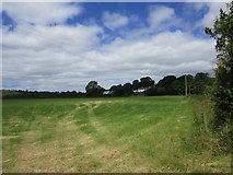 W2968 : Grass field and farmhouse, Inchisine by Jonathan Thacker