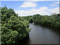 W3572 : The River Sullane above New Bridge by Jonathan Thacker