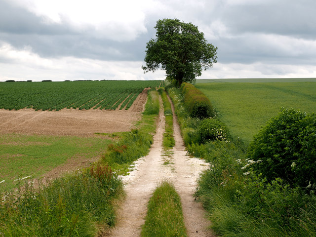 A Wolds Farm Track © Andy Beecroft Geograph Britain And Ireland 6981