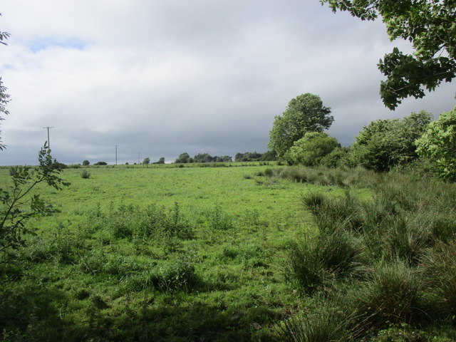 Grass field near Derry Cross Roads © Jonathan Thacker cc-by-sa/2.0 ...