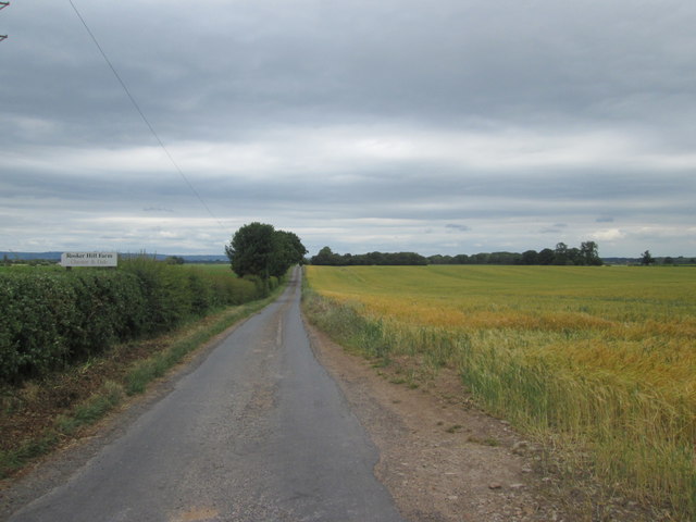 Lane to Rooker Hill Farm