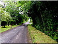 Neatly cut verges, Garvaghy Road