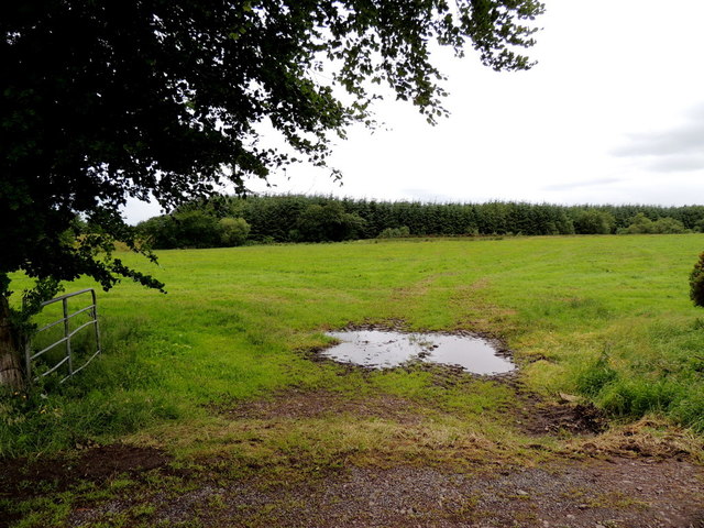 An open field, Garvaghy