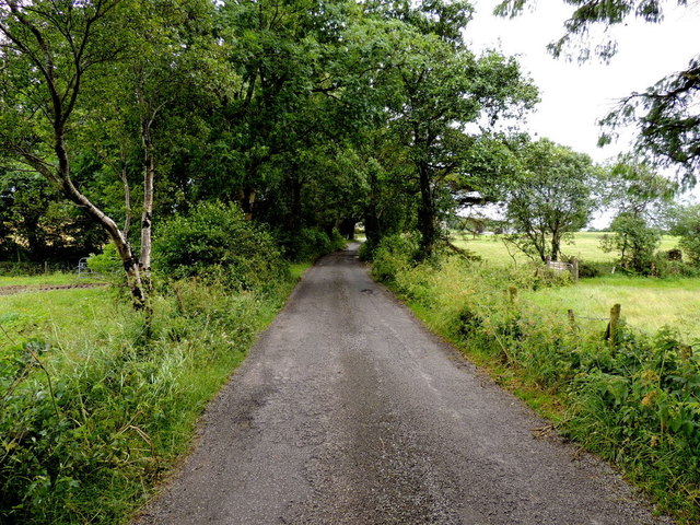 Tycanny Road, Tycanny