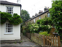 TQ1673 : Cottages in Ferry Road, Twickenham by Marathon