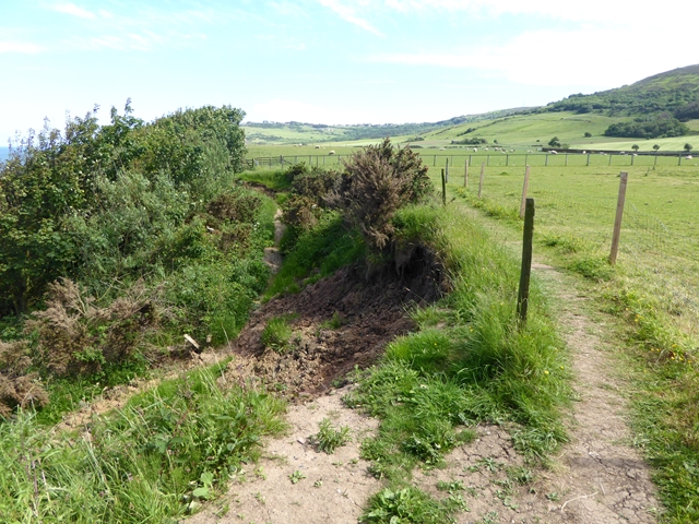 Path diversion on the Cleveland Way