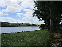 W4671 : The River Lee (Inishcarra Reservoir) by Jonathan Thacker