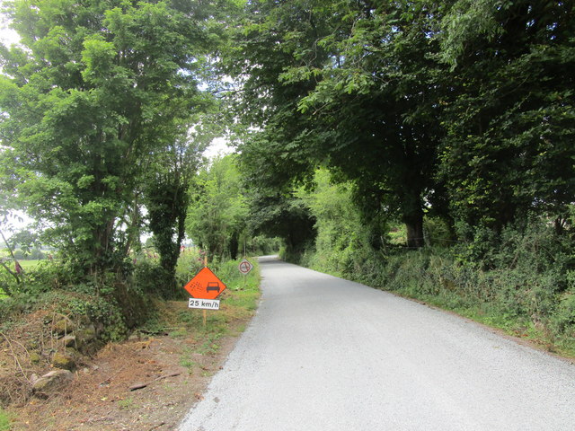 Road near Fergus West Cross Roads