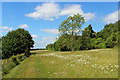 Meadow between the Railway Lines