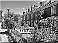 A 19th century terrace of houses