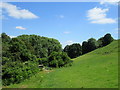 Steeply sloping field at Brandhill Gutter