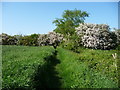 Public footpath to Stretham