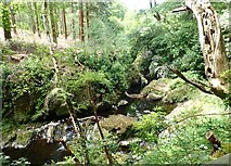 J3432 : Gorge on the Shimna River between Tollymore's Foley Bridge and Old Bridge by Eric Jones