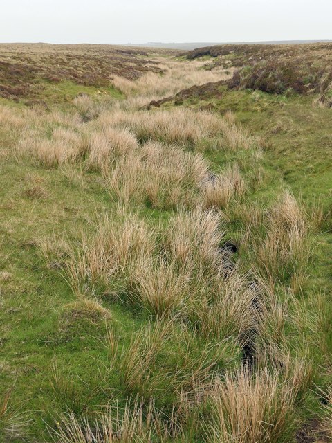 Course of the Feadan Grassagro, Isle of Lewis
