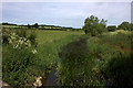 River Cherwell from Twyford Bridge