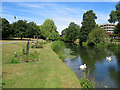 Chelmsford: Bell Meadow