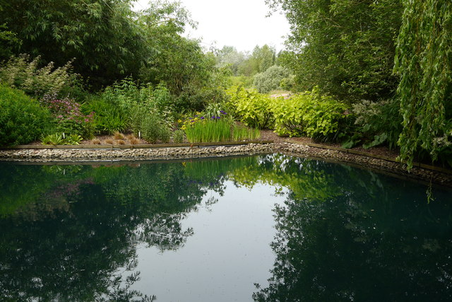 The Pond and Shade Garden, Breezy Knees Gardens