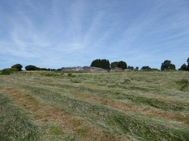 Newly mown hay, Leekshedge Farm