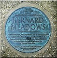 Prof Bernard Meadows (commemorative plaque)